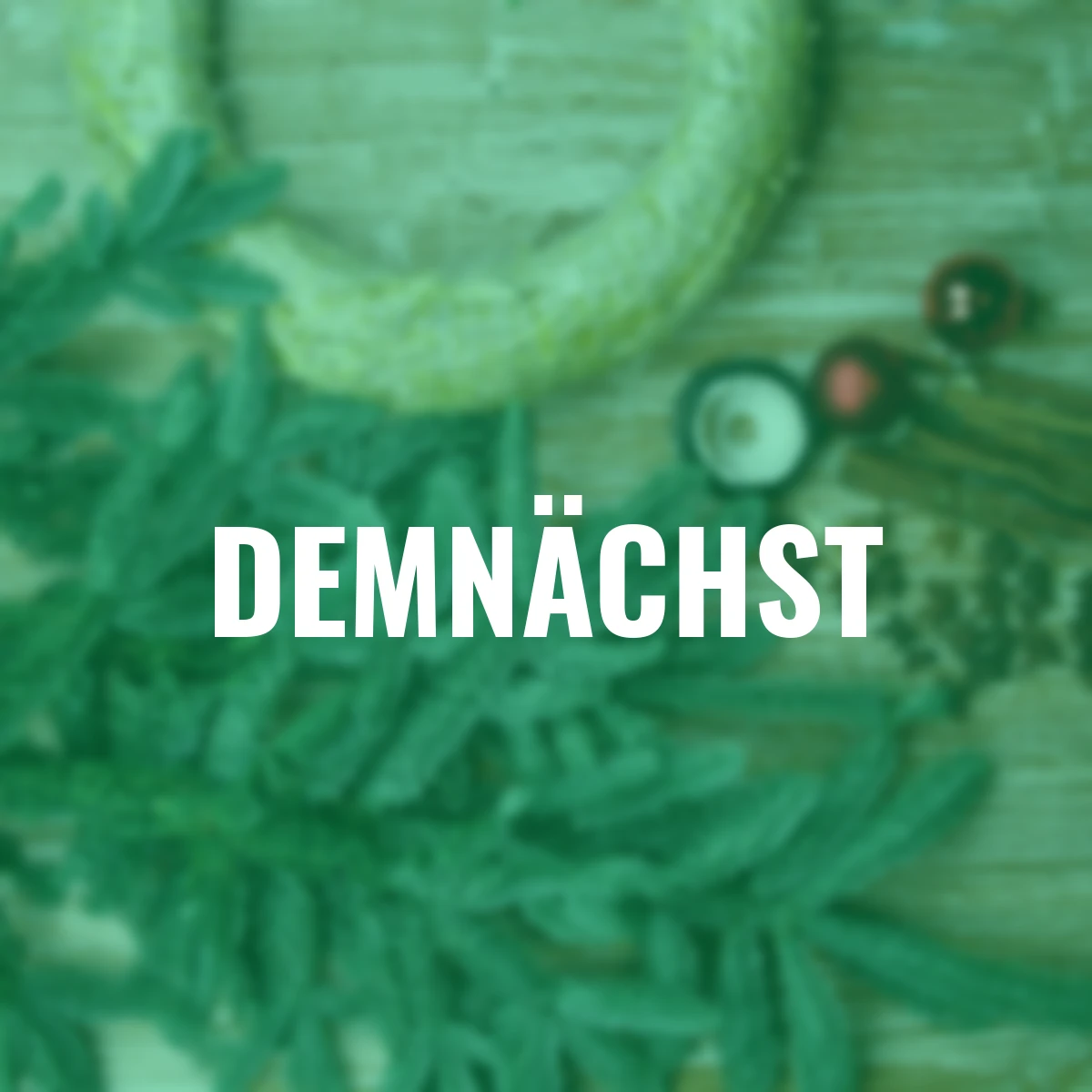 Nobilis-Tanne, Bund 500 g