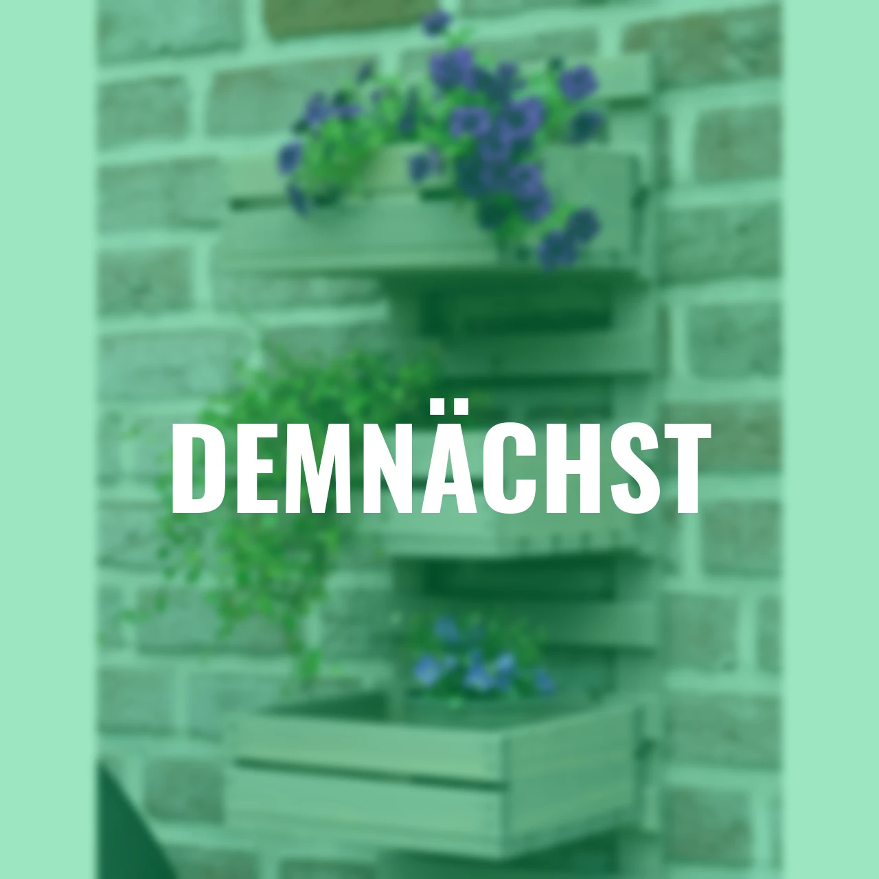 Flexibles 3-stufiges Wandregal, grau