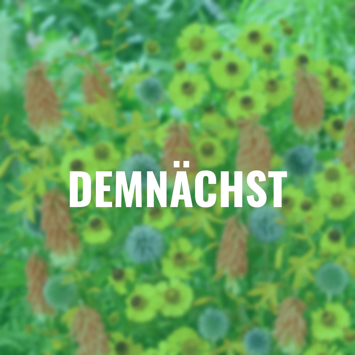 Stauden-Set Tutti-Frutti