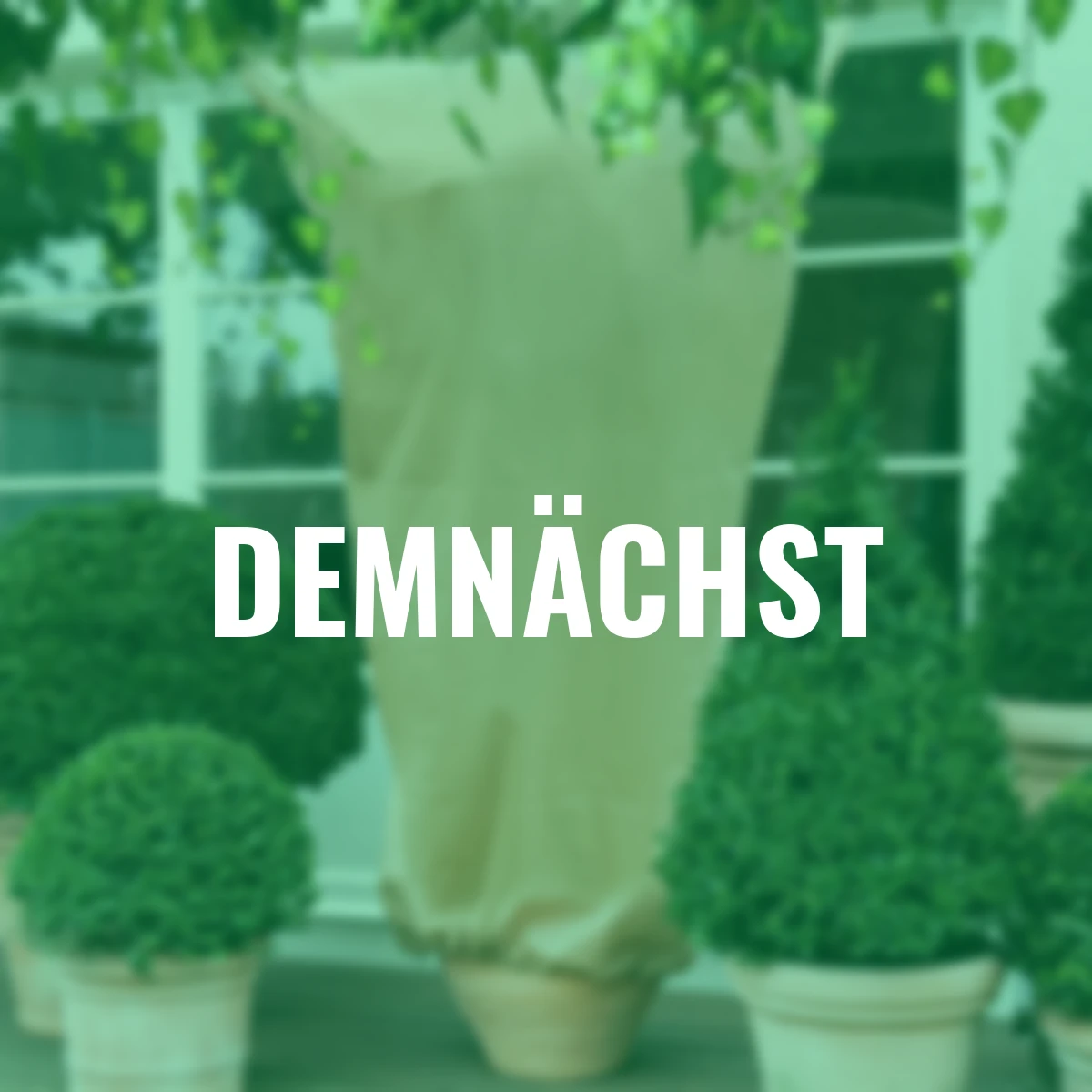 Kübelpflanzen-Sack 100x80 cm, 2er-Set, beige