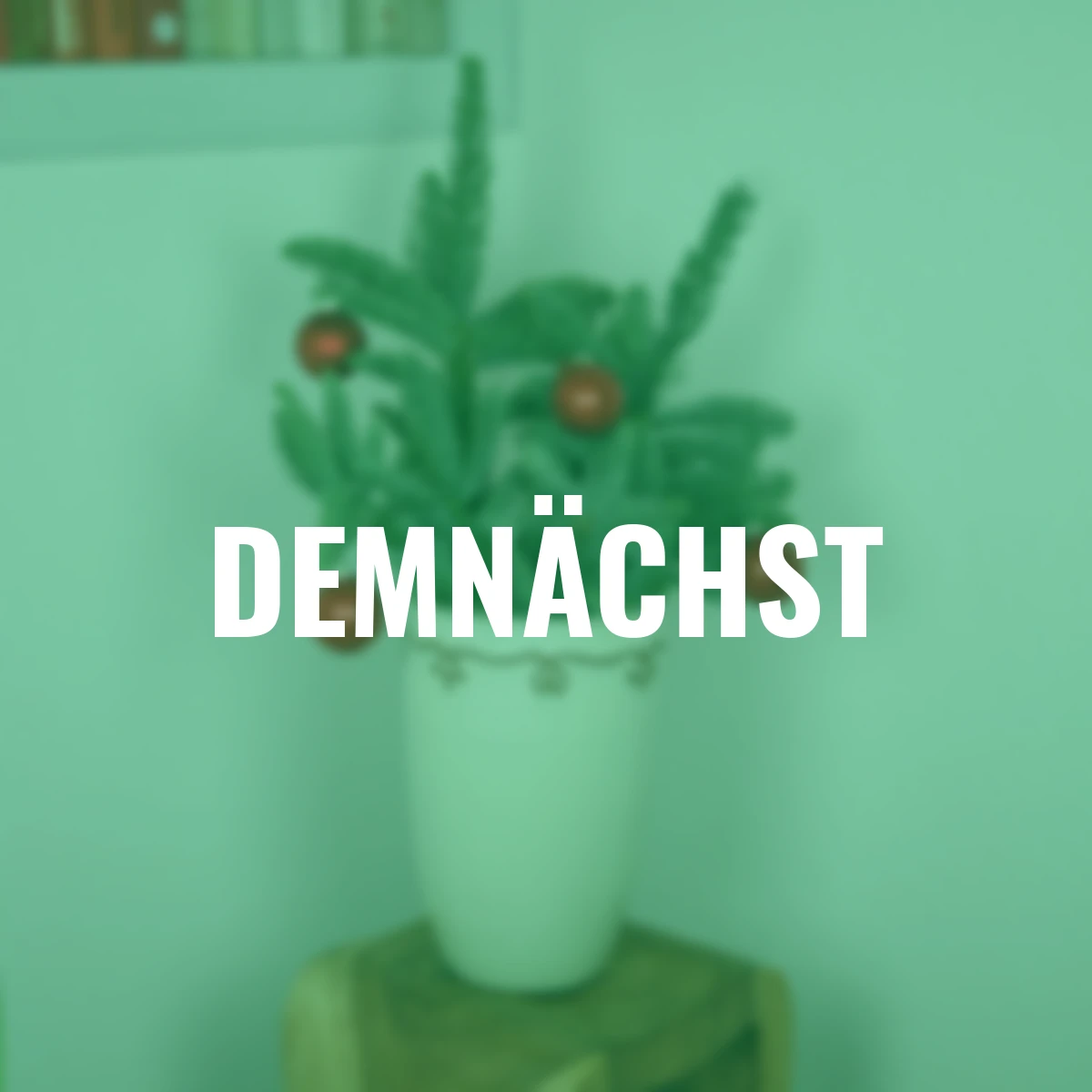 Nobilis-Tanne, Bund 500 g