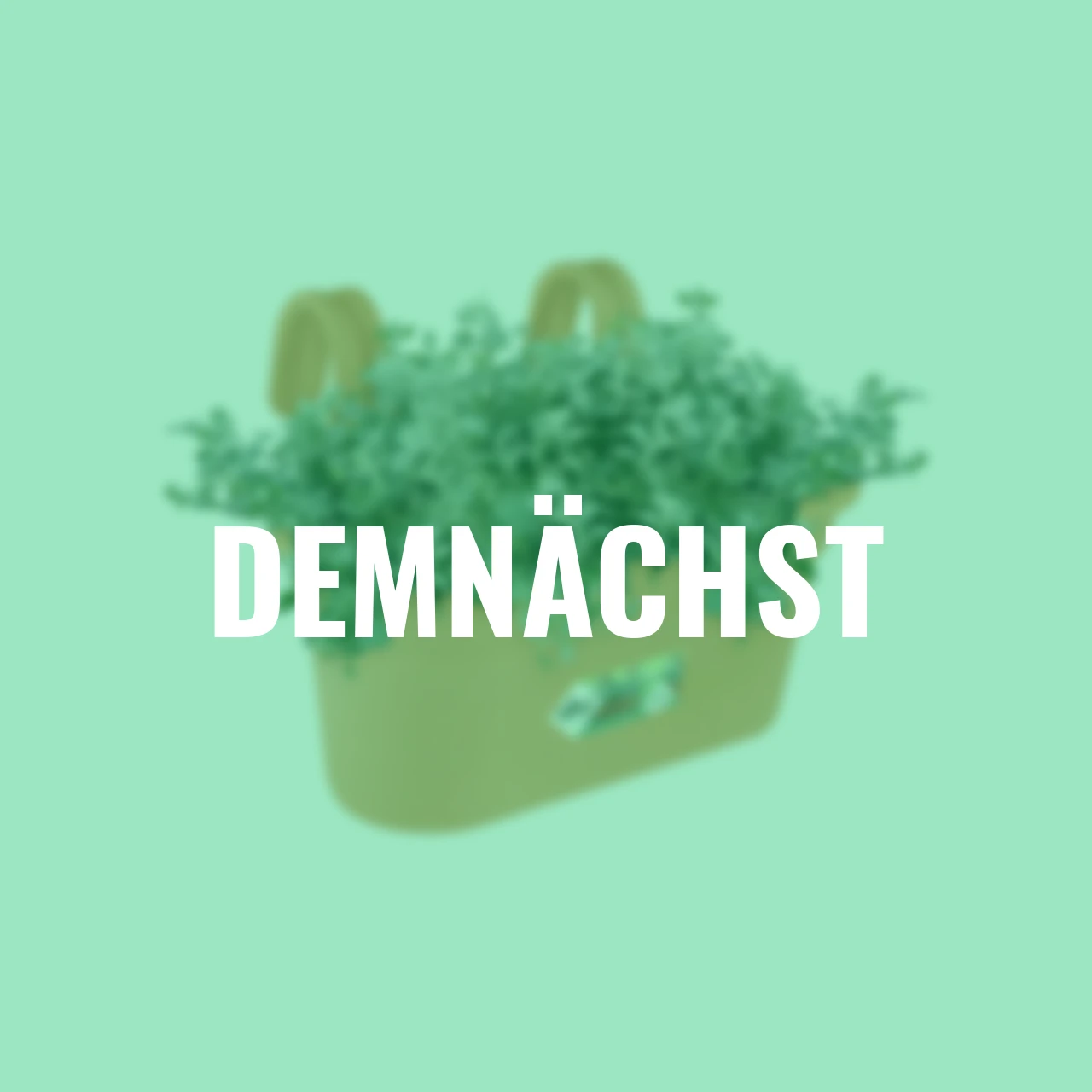 Hängetopf Green Basics terracotta