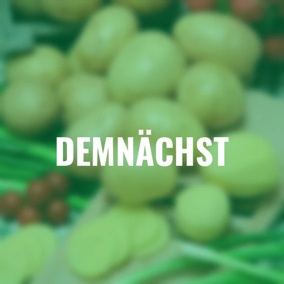 Kartoffel Gala, 2,5 kg