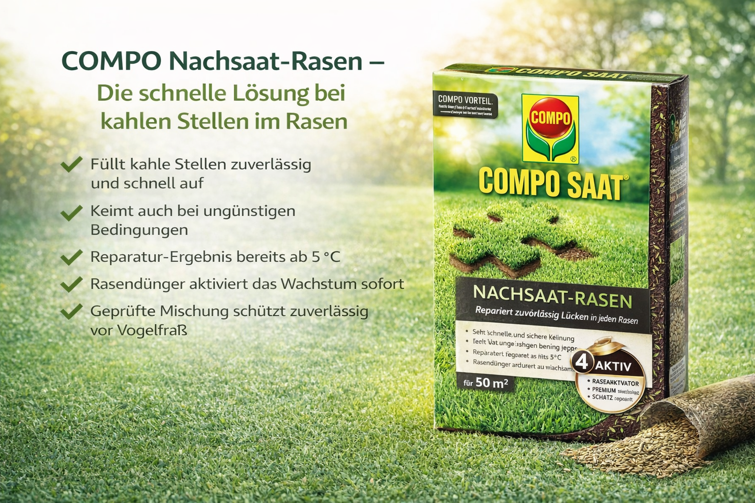 Nachsaat-Rasen