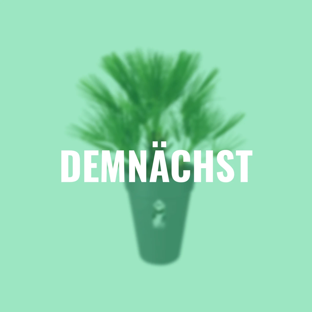 Pflanztopf Loft Urban 28 cm anthrazit