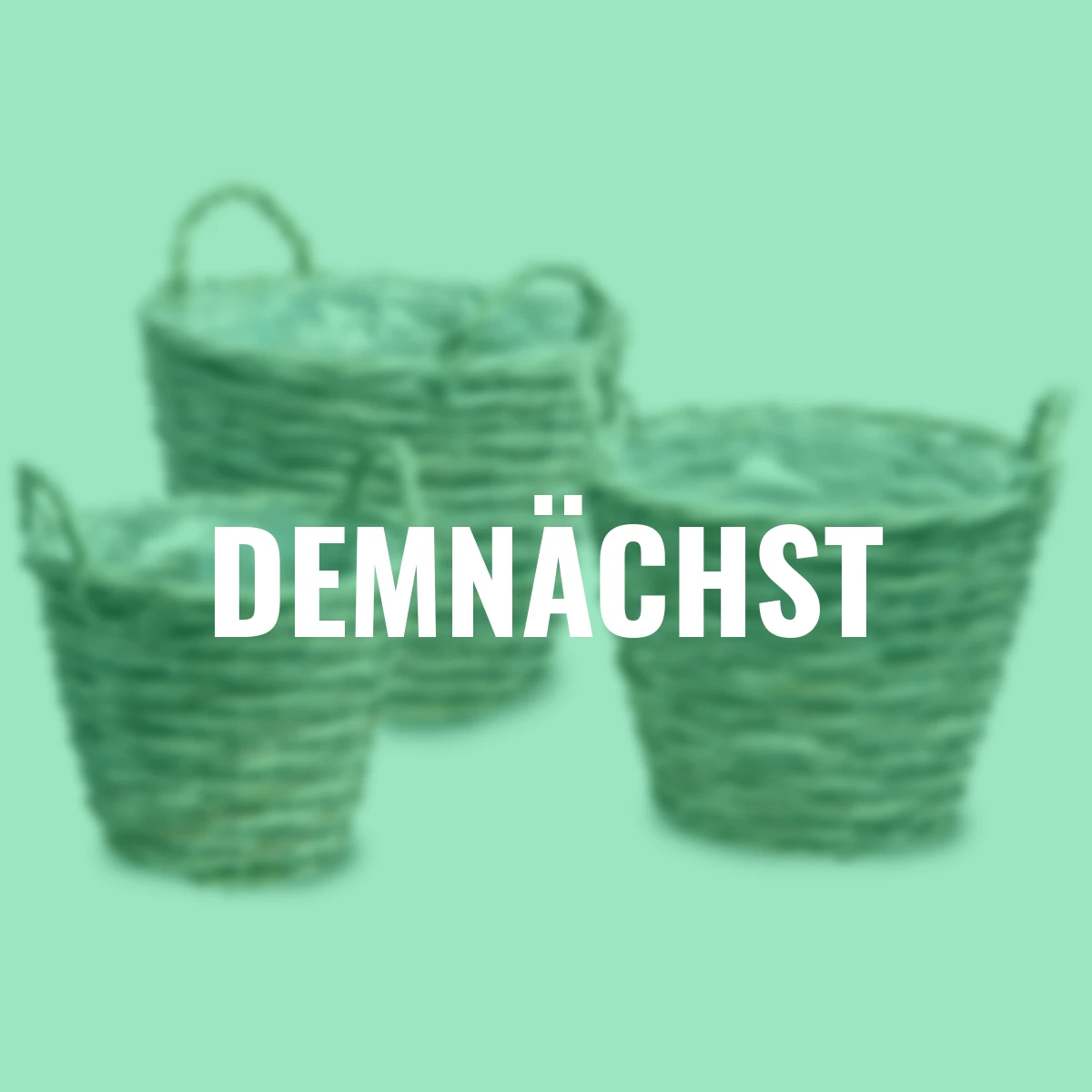 Weide-Pflanzkorb mit Henkel, 3er Set