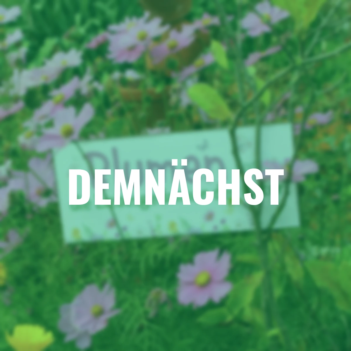 Metall-Schild, Blumen sind…,