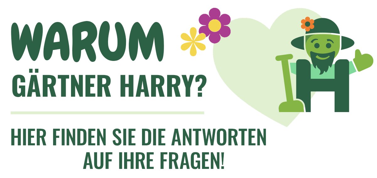 Warum Gärtner Harry? Hier finden Sie die Antworten auf Ihre Fragen!